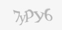 Защитный код